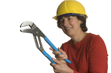 Image showing woman with tools