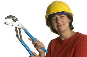 Image showing woman with tools