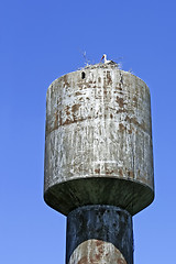 Image showing Stork nest on the water tower