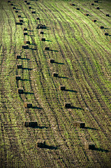 Image showing Bale of straw