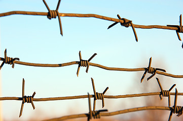 Image showing barbed wires against blue sky.
