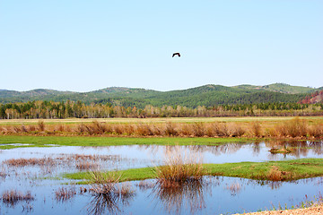 Image showing beautiful green mountain landscape