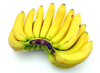 Image showing Bunch of bananas isolated on white background