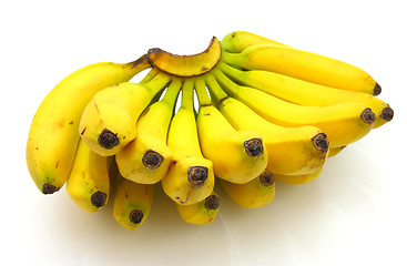 Image showing Bunch of bananas isolated on white background