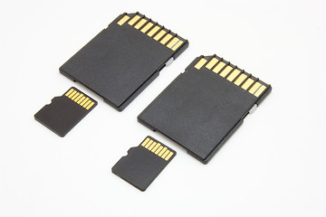 Image showing Secure Digital memory cards 