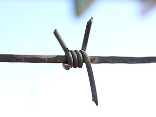 Image showing Barbed wire