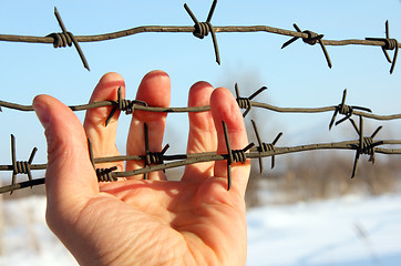 Image showing Hand of prison and sky background