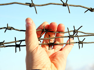 Image showing Hand of prison and sky background