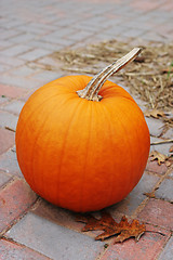 Image showing Bright orange pumpkin