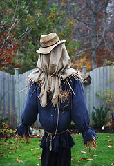 Image showing Scarecrow