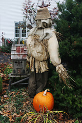 Image showing Scarecrow in a garden
