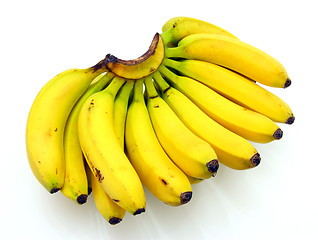 Image showing Bunch of bananas isolated on white background