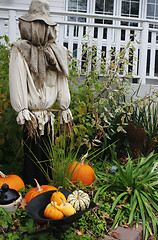 Image showing Scarecrow with pumpkins