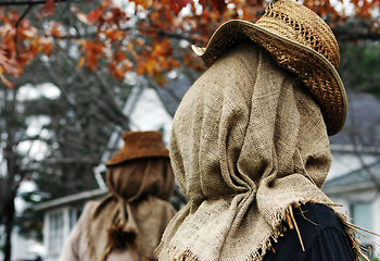Image showing Scarecrows
