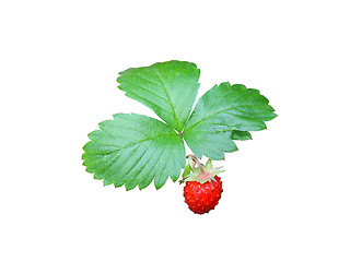 Image showing strawberries closeup with green leaves