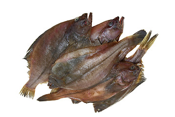 Image showing Four fresh flounder fishes 