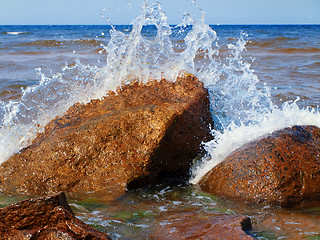 Image showing sea shore