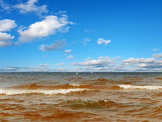 Image showing sea shore