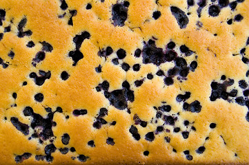 Image showing Blueberry cake 02