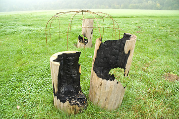 Image showing Burned out tree trunks 02