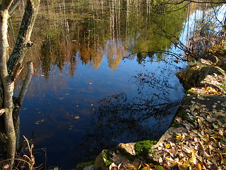 Image showing Pond