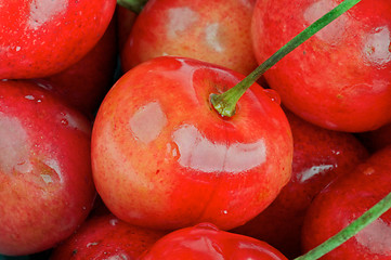 Image showing Fresh Cherry background