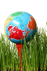 Image showing World Golf