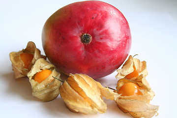 Image showing Fruits