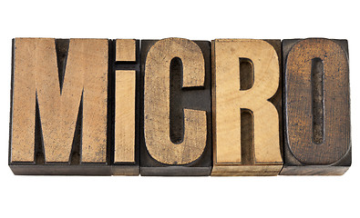 Image showing micro  word in wood type