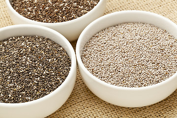 Image showing chia seed variety