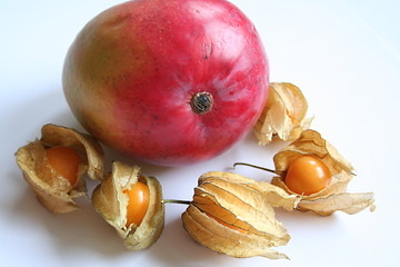 Image showing Mango and physalis