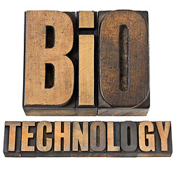 Image showing bio technology in wood type