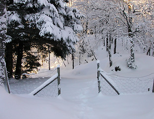 Image showing Winter gate