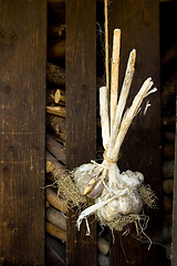 Image showing Garlic on a string