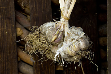 Image showing Garlic store