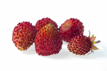 Image showing Wild strawberry