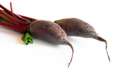 Image showing Beet