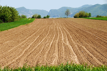 Image showing Plowed field