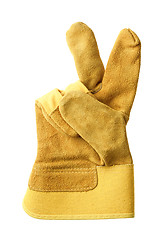 Image showing Protective glove