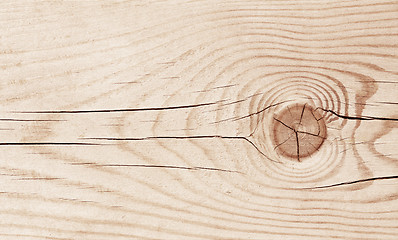 Image showing Wood