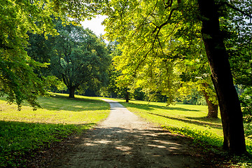 Image showing Sunny road to park in the summer