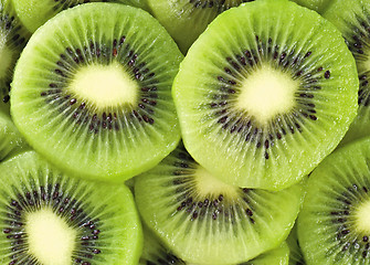 Image showing Fresh kiwi as a background