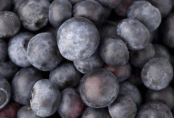 Image showing Blue berry
