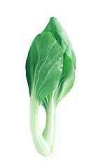 Image showing Chinese cabbage