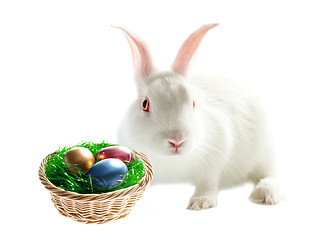 Image showing Colorful easter eggs and rabbit