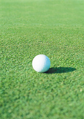 Image showing Golf Ball on the Green Grass