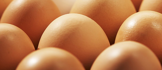 Image showing close up of eggs