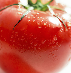 Image showing Fresh tomato close-up.