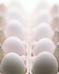Image showing Chicken egg isolated over the white background