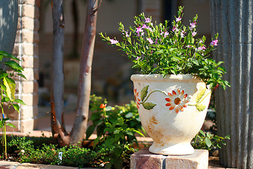 Image showing Planter pot